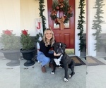 Small #52 Breeder Profile image