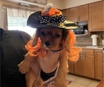 Small #4 Breeder Profile image