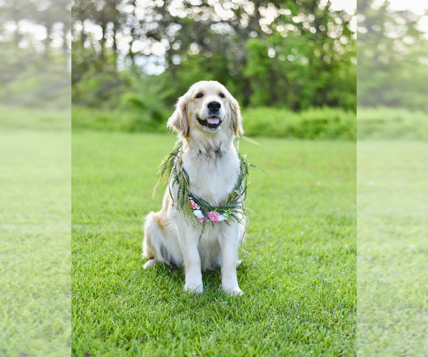 Medium Photo #1  Breeder Profile in CHARLESTOWN, IN, USA