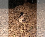 Small #3 Breeder Profile image