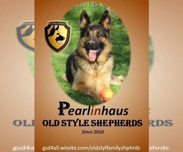 Medium Photo #1  Breeder Profile in GOLDENDALE, WA, USA