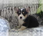 Small #6 Breeder Profile image