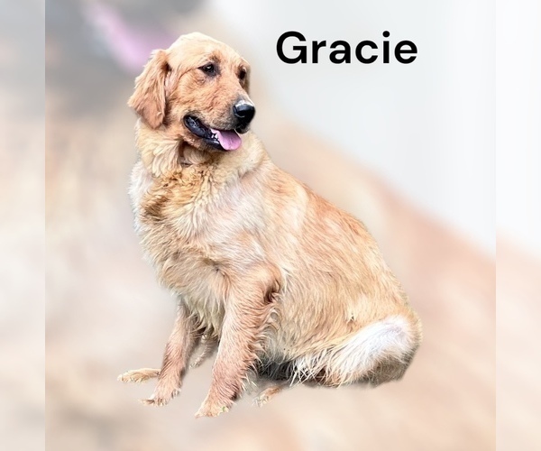 Medium Photo #28  Breeder Profile in NEOLA, WV, USA