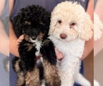 Small #15 Breeder Profile image