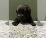 Small #6 Breeder Profile image