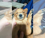 Small #20 Breeder Profile image