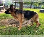 Small #2 Breeder Profile image