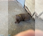 Small #7 Breeder Profile image