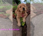 Small #22 Breeder Profile image