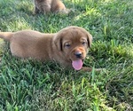 Small #2 Breeder Profile image
