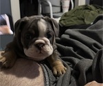 Small #1 Breeder Profile image