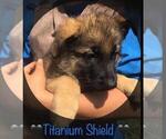Small #23 Breeder Profile image