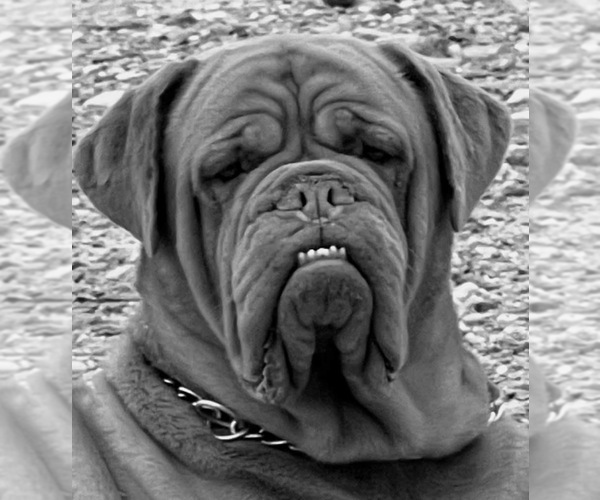 Medium Photo #1  Breeder Profile in SALOME, AZ, USA