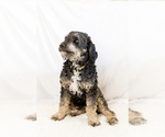 Small #8 Breeder Profile image