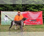 Small Photo #1  Breeder Profile in BLMGTN, IN, USA