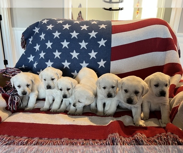 Medium Photo #1  Breeder Profile in MIDDLEBURG, KY, USA