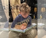 Small #39 Breeder Profile image