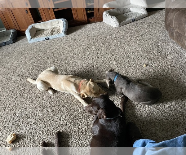 Medium Photo #1  Breeder Profile in HUNTINGTON, IN, USA