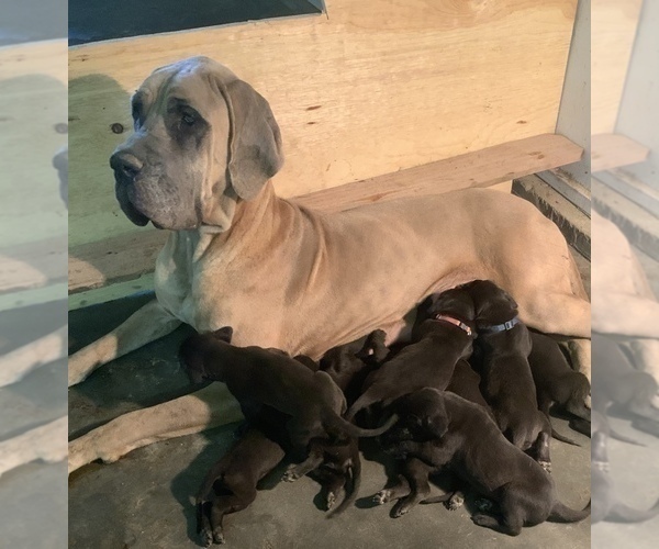 Medium Photo #1  Breeder Profile in JOLLY ACRES, SD, USA