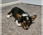 Small #5 Breeder Profile image