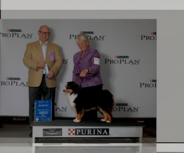 Medium Photo #1  Breeder Profile in BOLIVAR, MO, USA