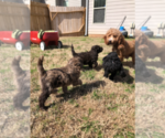 Small #3 Breeder Profile image