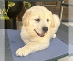 Small #5 Breeder Profile image