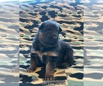 Small #24 Breeder Profile image