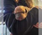 Small #5 Breeder Profile image