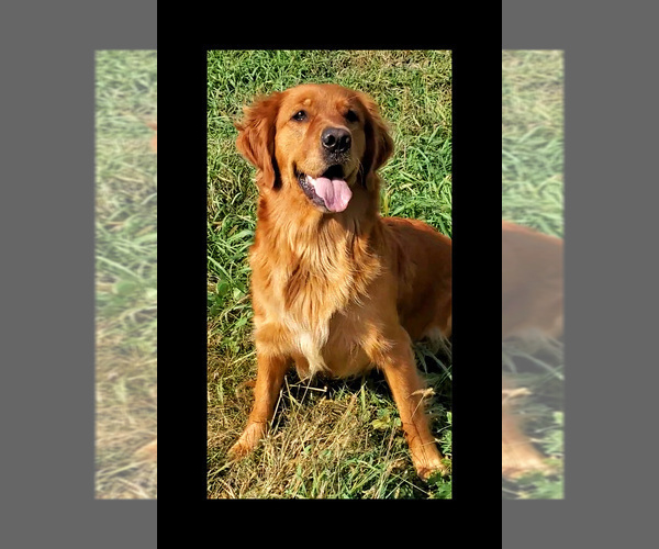 Medium Photo #9  Breeder Profile in KIMBALL, MN, USA