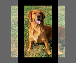 Small #8 Breeder Profile image