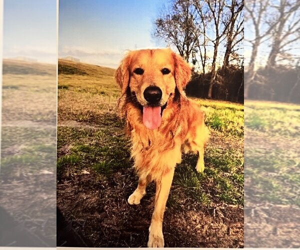 Medium Photo #2  Breeder Profile in INGLESIDE, TX, USA