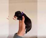 Small #5 Breeder Profile image
