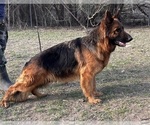 Small #4 Breeder Profile image