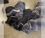 Small #5 Breeder Profile image