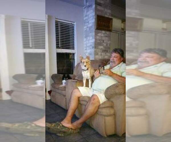 Medium Photo #1  Breeder Profile in ALICE, TX, USA