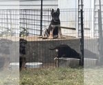Small #6 Breeder Profile image