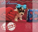 Small #11 Breeder Profile image