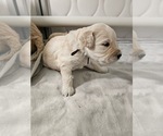 Small #1 Breeder Profile image