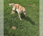 Small #2 Breeder Profile image
