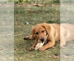 Small #2 Breeder Profile image