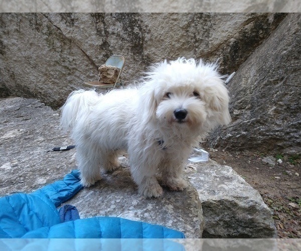Medium Photo #1  Breeder Profile in HARRISON, AR, USA