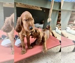 Small #15 Breeder Profile image