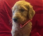 Small #3 Breeder Profile image
