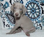 Small #3 Breeder Profile image