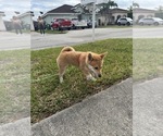 Small #11 Breeder Profile image