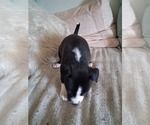 Small #16 Breeder Profile image