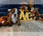 Small #7 Breeder Profile image
