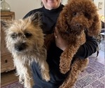 Small #3 Breeder Profile image