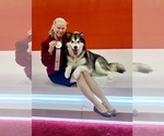Small #2 Breeder Profile image